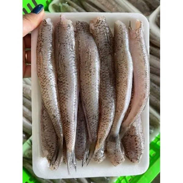 Cá bống mối cắt đầu – Khay 500gr