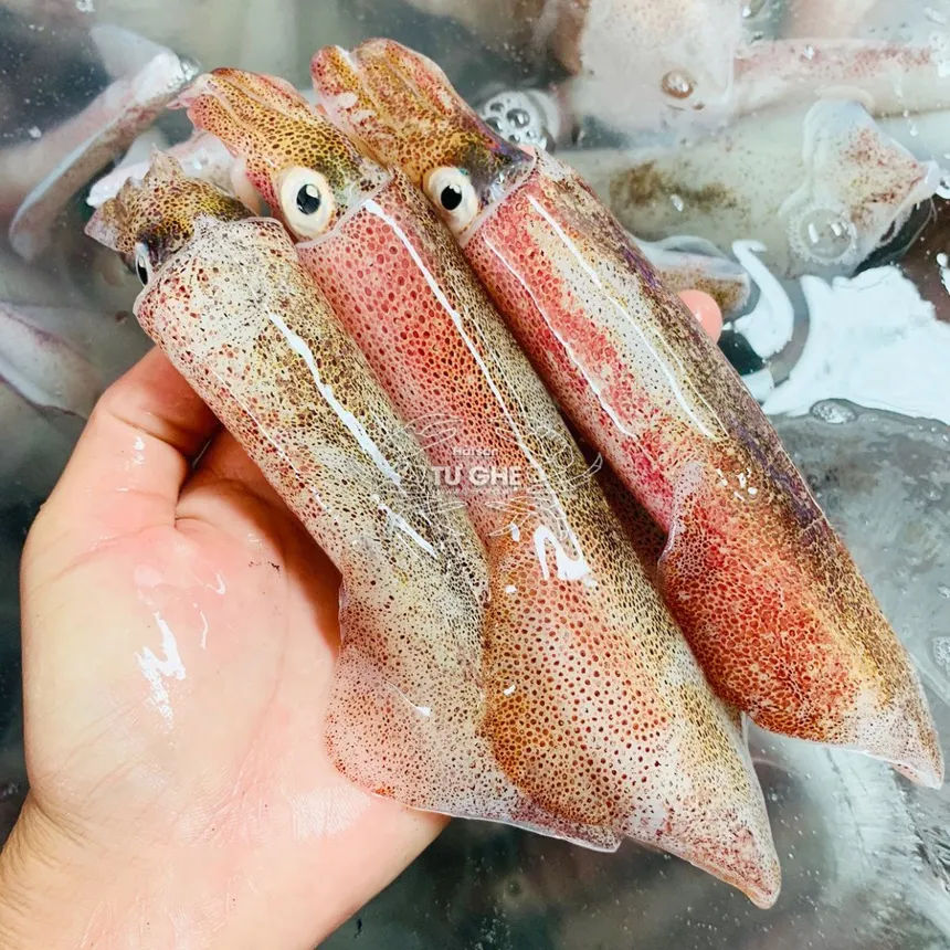 Mực Ống To ( 10-12 con/kg) – Khay 500gr