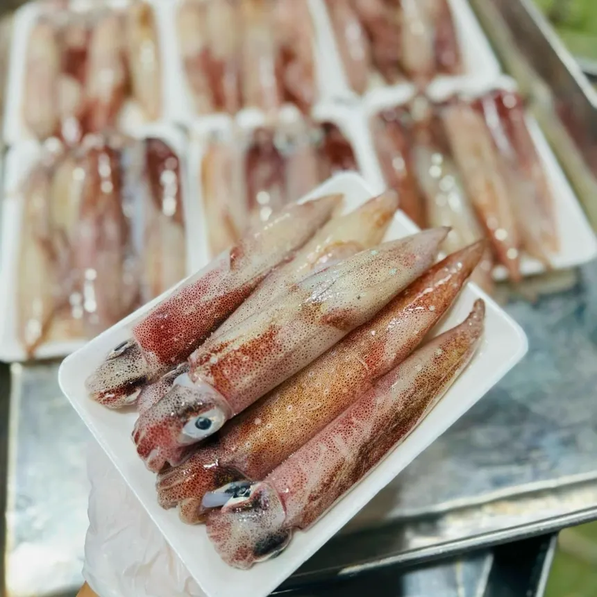 Mực Ống Nháy – Khay 500gr