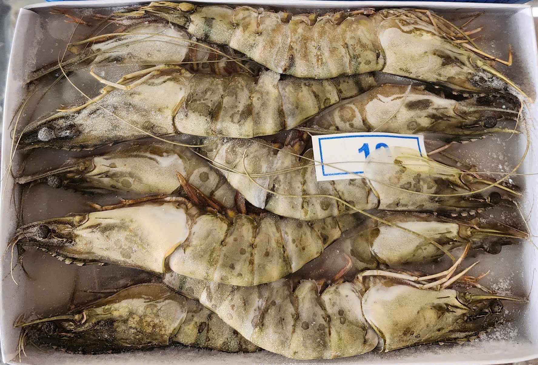 Tôm sú size 10 – Khay 500gr