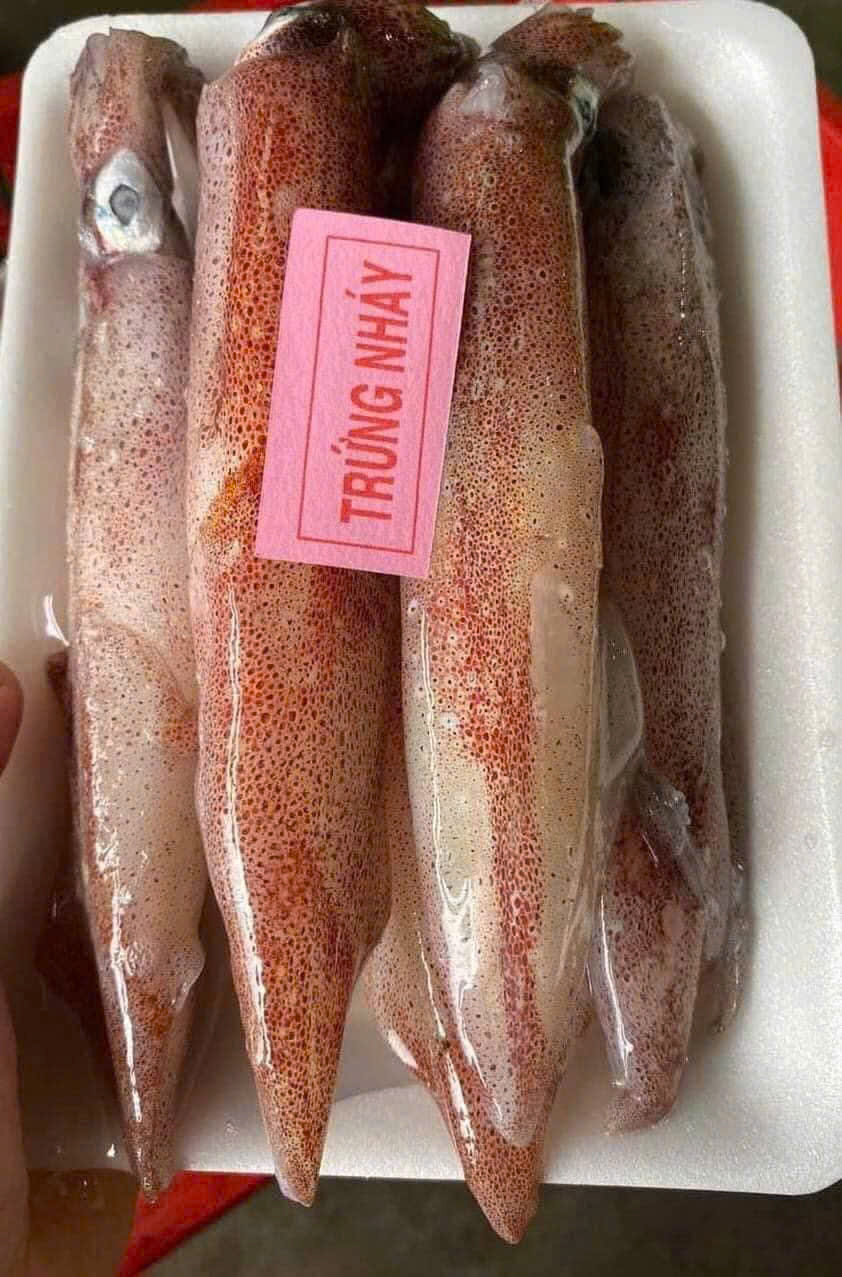 Mực Trứng Nháy – Khay 500gr