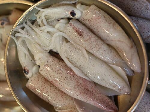 Mực Ống Bé ( 20 – 22 con/kg) – Khay 500gr