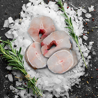 일본 장어 종류